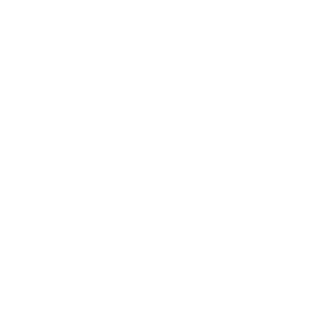 Coconut -Icon